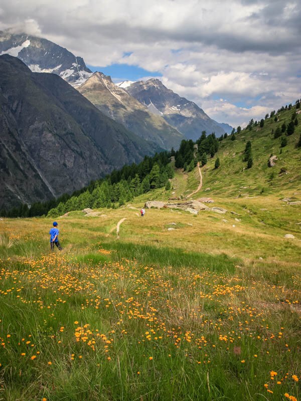 Sunnegga Paradise Mountain Trail with Alpine Meadow Picnic