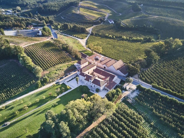 Quinta de Maison's Boutique Wine Estate & Cooking Class