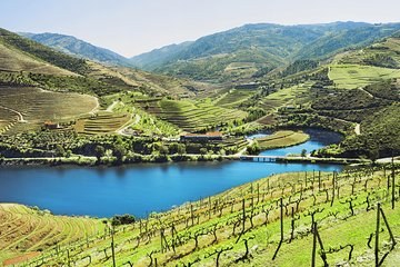 Pintura Negra Wine Bar & Douro Producer Salon