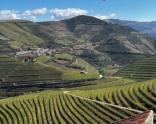 Ligar Winery & Natural Wine Collective (Vila do Conde Regional)