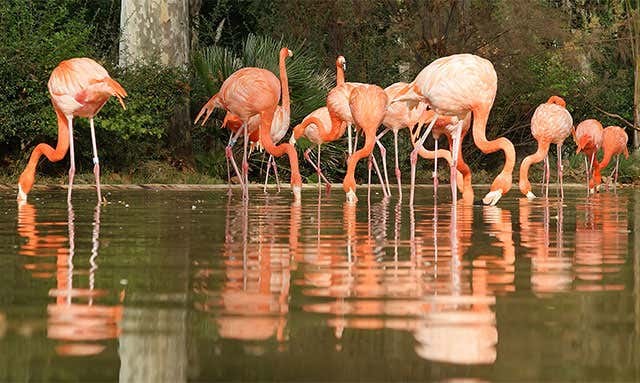 Zoo de Barcelona