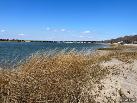 Corson's Inlet State Park (Regional: Pristine Barrier Island)