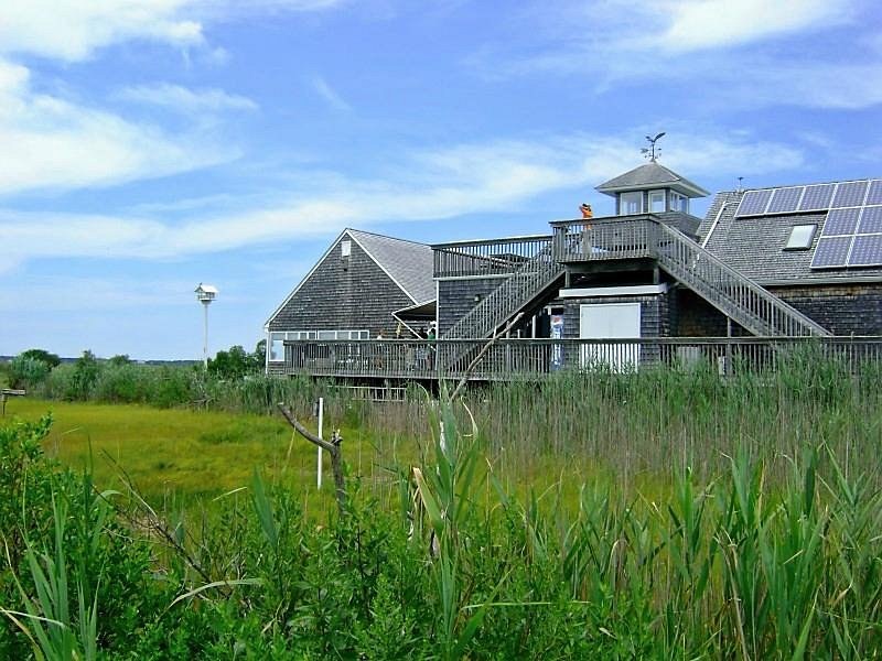 Stone Harbor Marine Sanctuary & Wetlands Institute