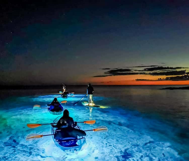 Sunset Kayaking with Bioluminescence (Seasonal)