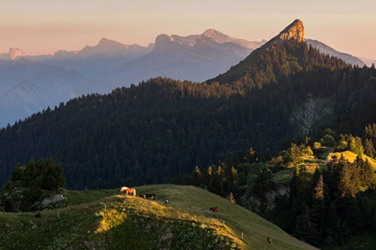 Parc de la Chartreuse (Gouvieux) & Wine Region Gateway