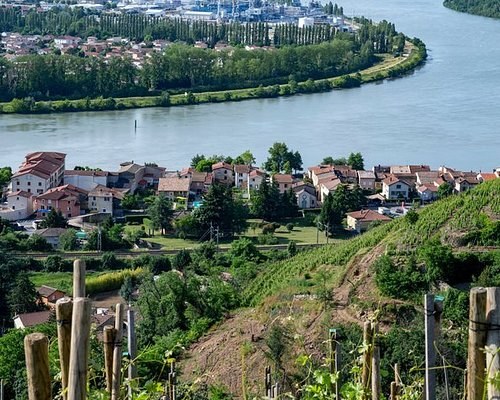 Condrieu (Riverside Wine Village)