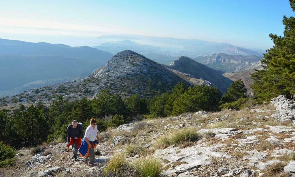 Mosor Mountain Summit Hike with Herbal Guide