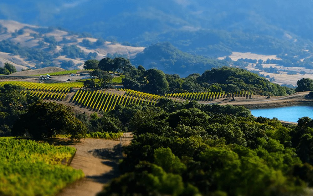 Drinking Goat Winery
