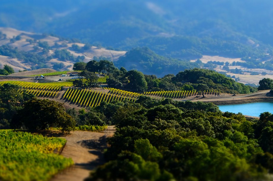 Oswald Winery
