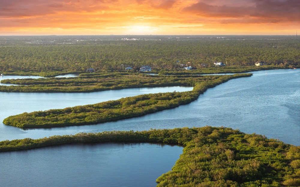 Everglades Airboat Tour & Ecosystem Experience