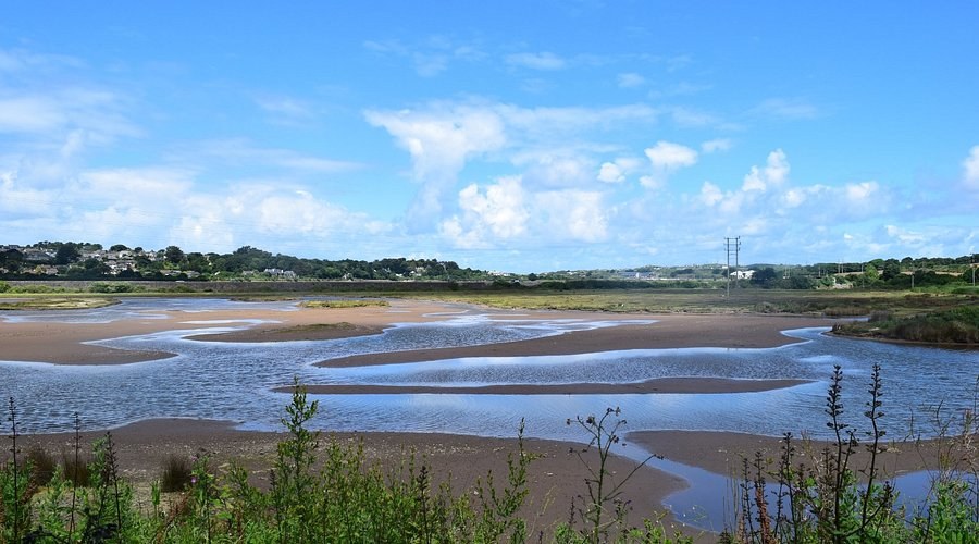 Hayle Estuary Bird Watching & Habitat Restoration