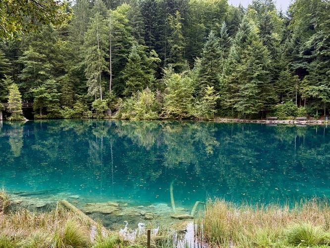 Blausee (Blue Lake) – Crystal Waters Hike