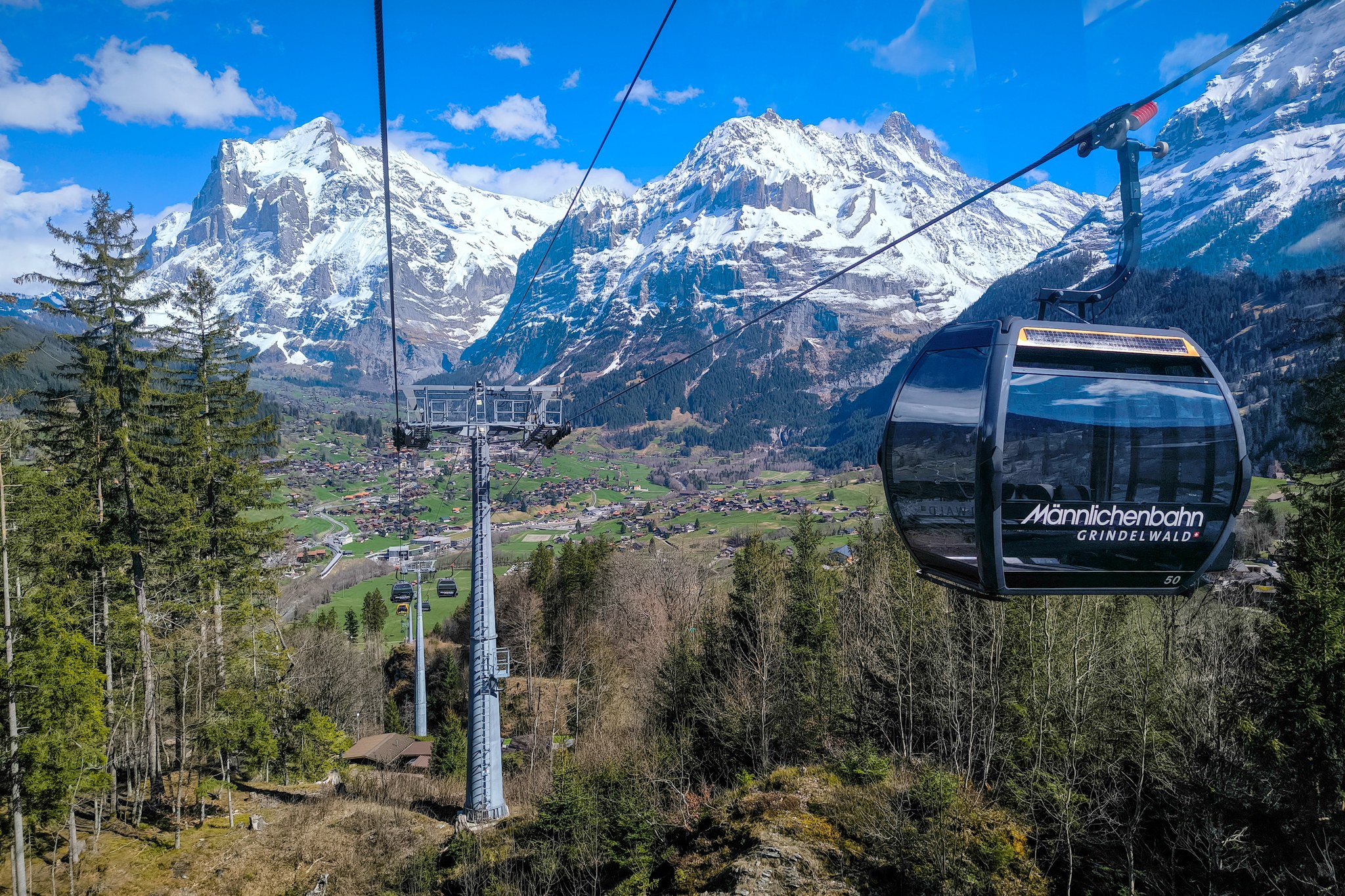Männlichen – Aerial Cableway & Alpine Meadows
