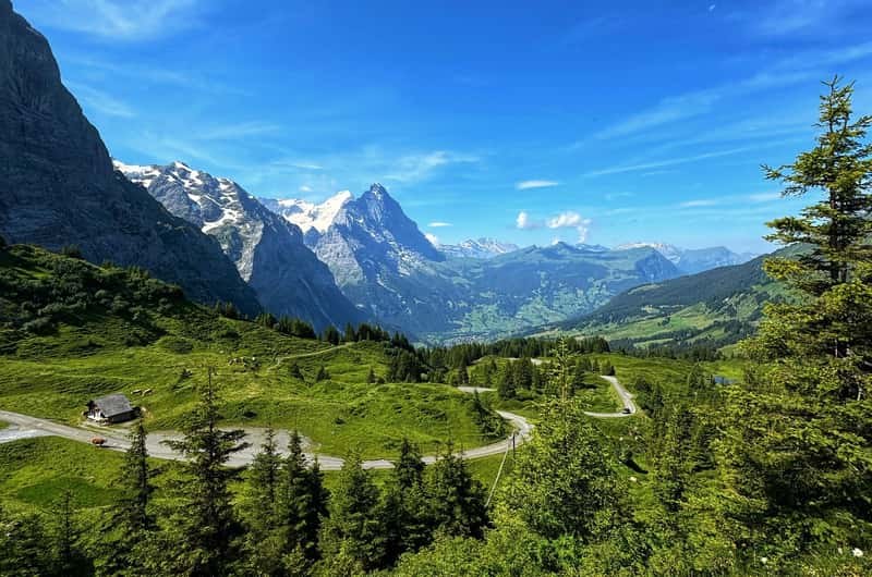 Grosse Scheidegg Pass – Alpine Scenic Drive & Hike