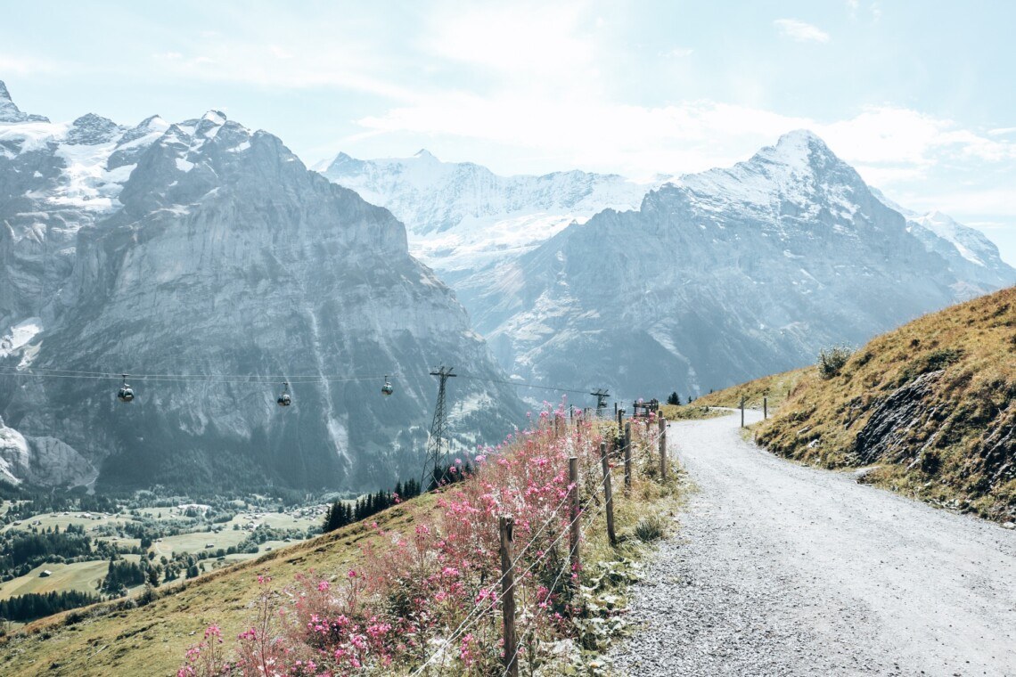 Ösch Alp – Untouched Alpine Pasture Hike
