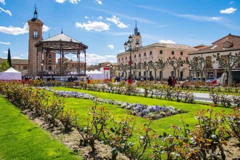 Alcalá de Henares Day Trip