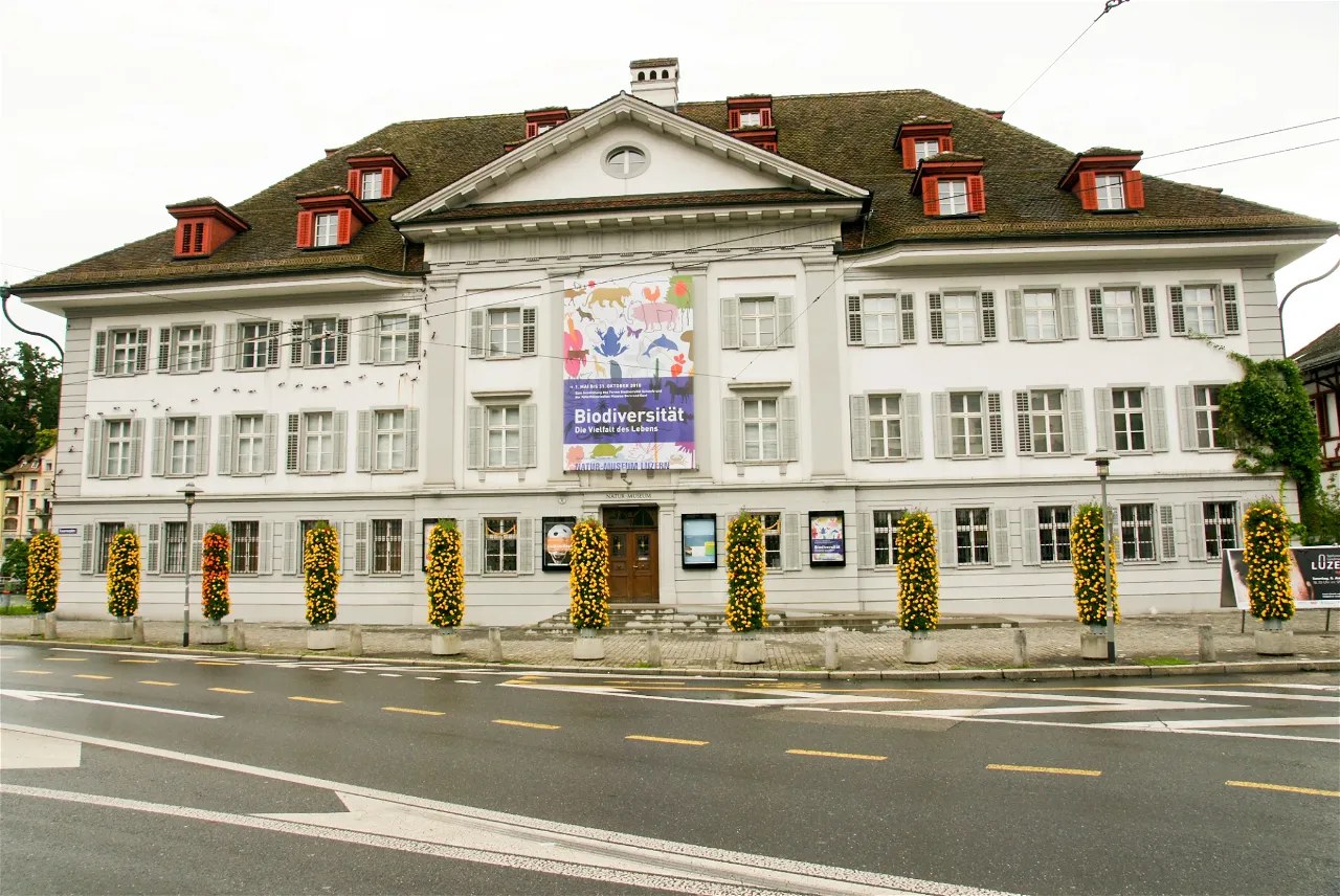 Natur-Museum Luzern (Taxidermy & Natural History)
