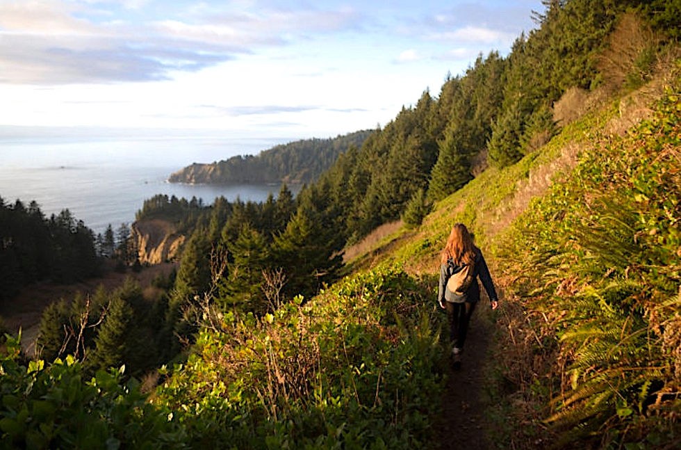 Neahkahnie Mountain Trail