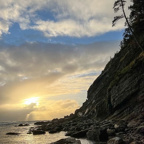 Manzanita Greenworks