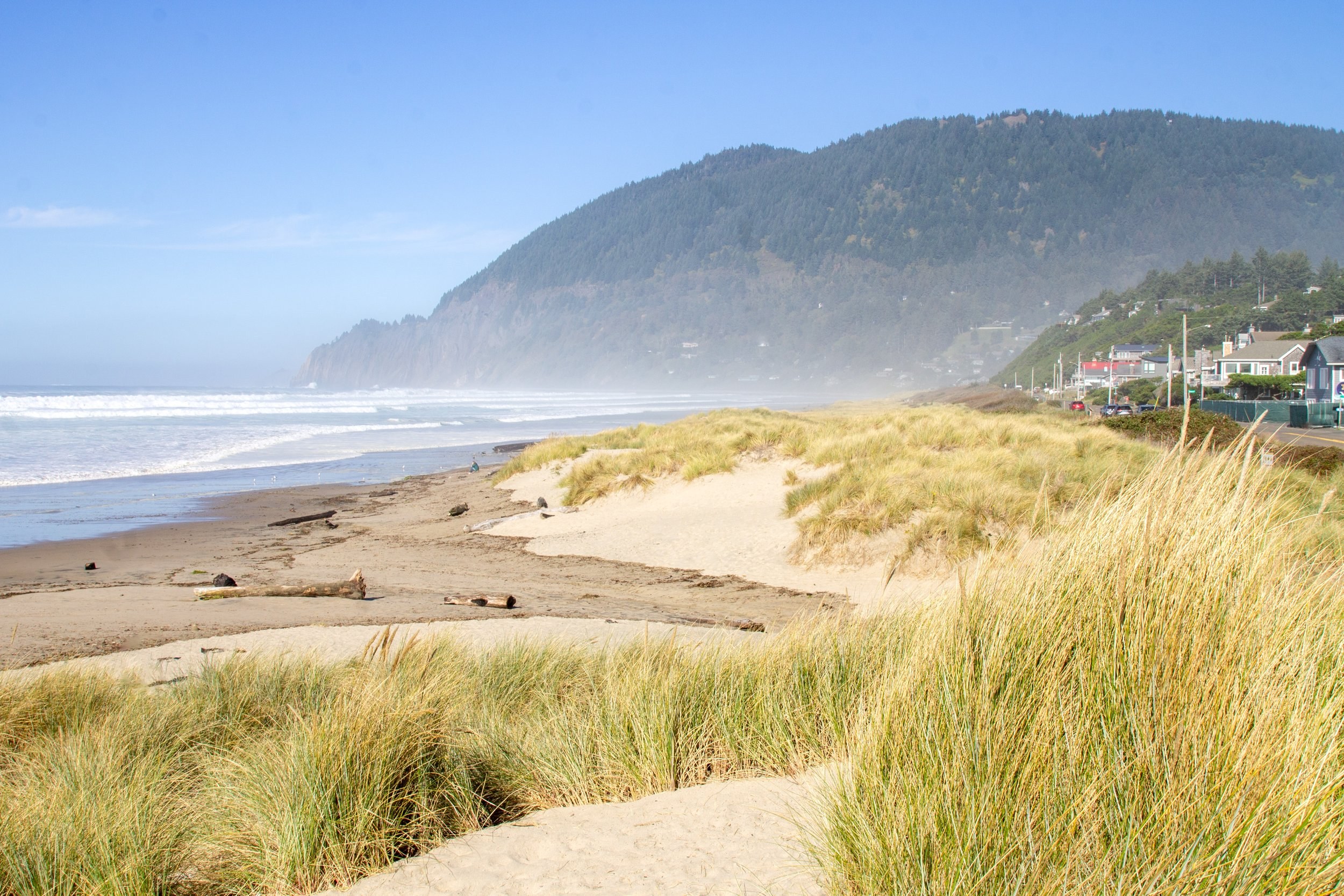 Cannon Beach Film Festival Community
