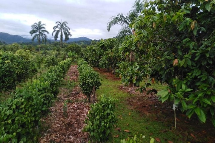 Finca Dinámica Agricultural Tour