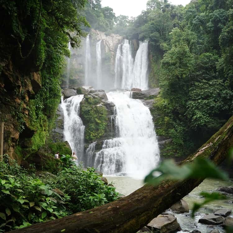 Nauyaca Waterfall Trek & Swimming