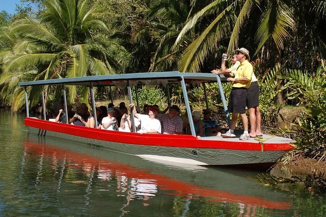 Damas Estuary Boat Tour & Mangrove Experience