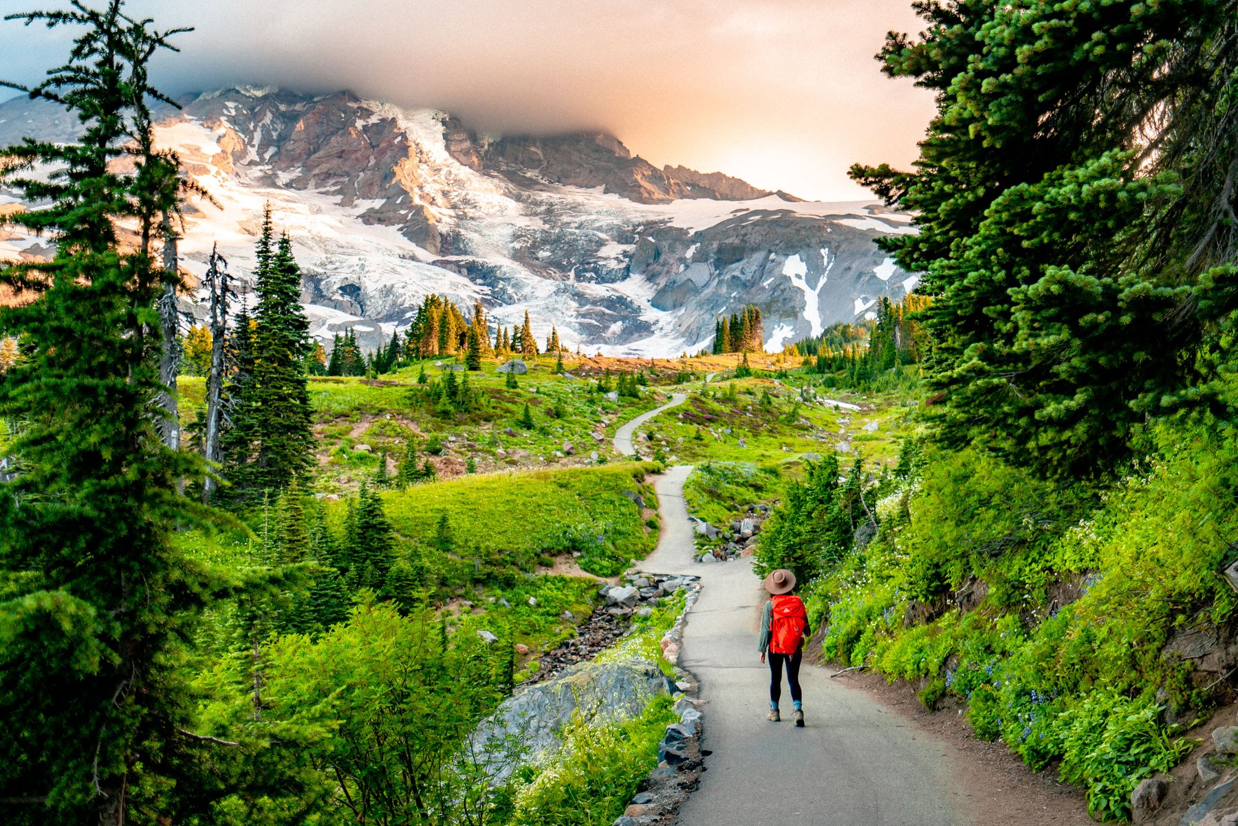 Mount Rainier National Park – Paradise & Sunrise Loop