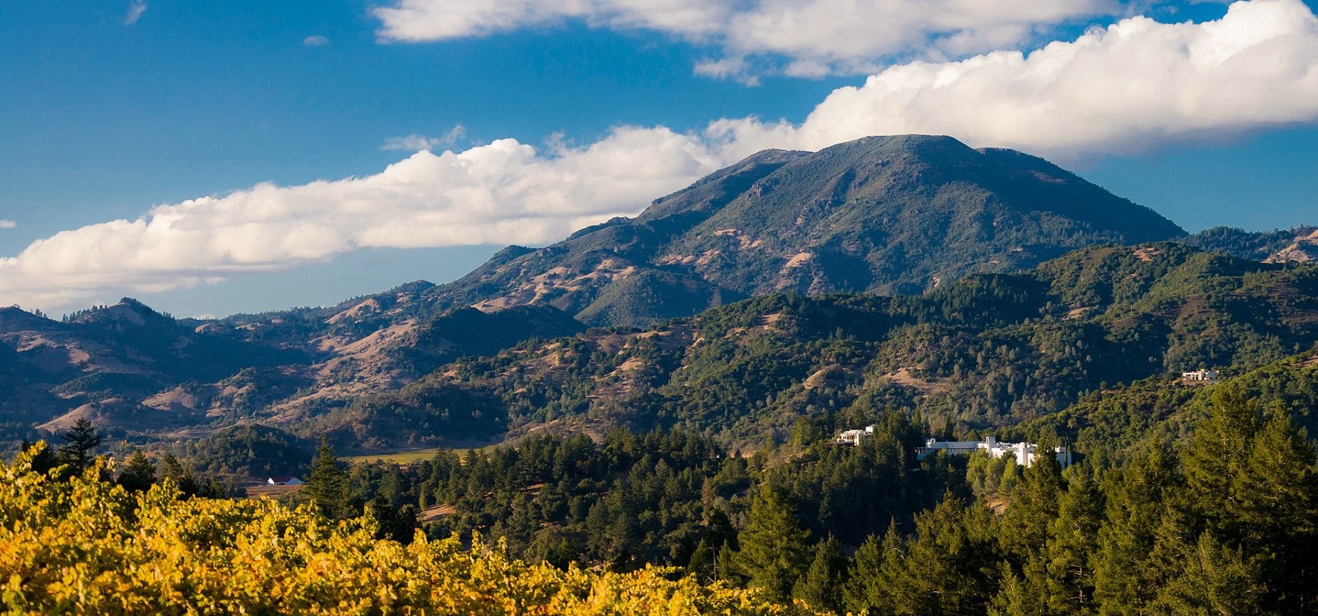 Monteverita