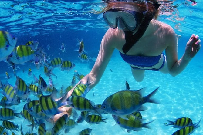 Snorkel with Sea Turtles at Nargana