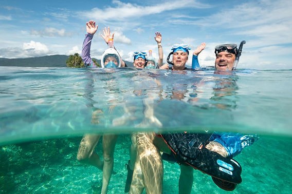 Night Snorkel with Nocturnal Marine Life