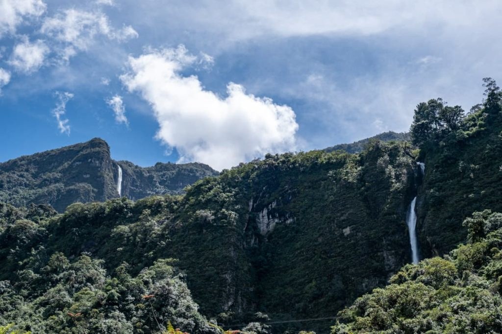 Santo Domingo de Sisal (Cloud Forest Hike)