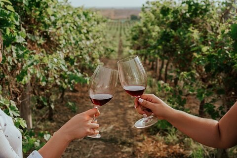 Private Wine Tasting - Ecuadorian Highlands Wines