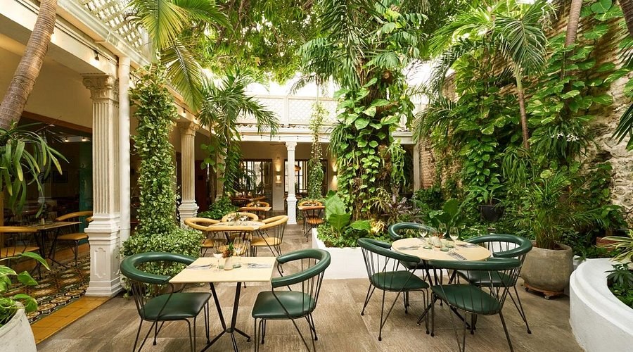 Gastronomic Private Tasting at Carmen (Multi-Course)