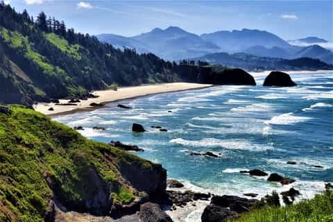 Private Coastal Ecology Walks with Marine Biologist