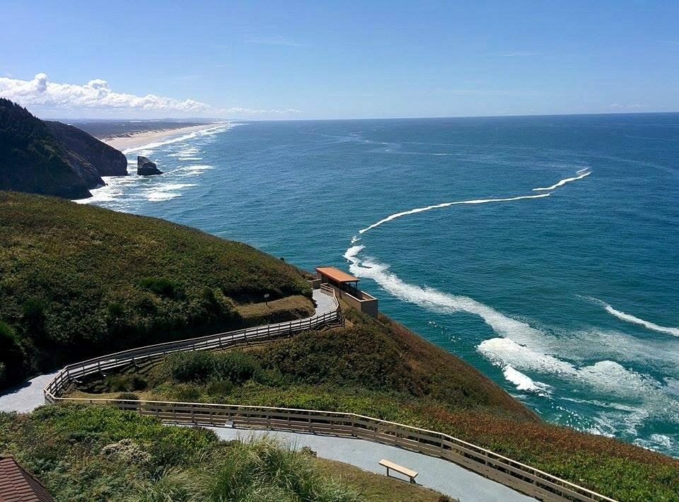 Sea Lion Caves