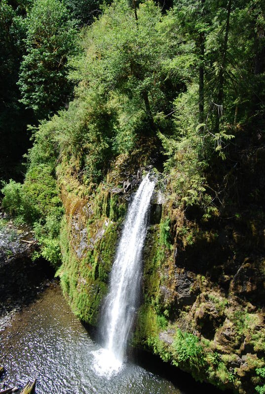 Drift Creek Wilderness Falls Hike