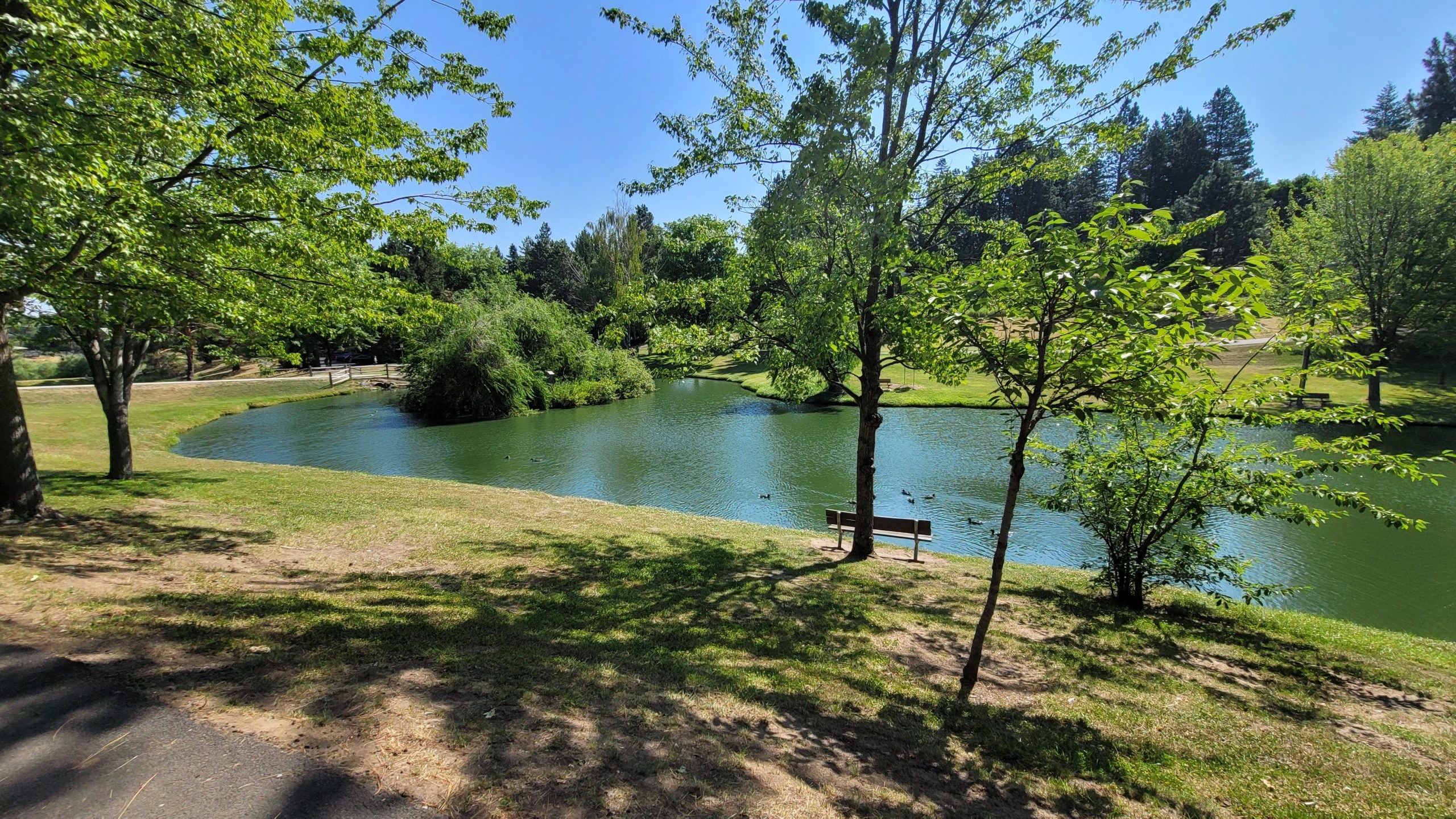 Sunnyside Valley Vineyard
