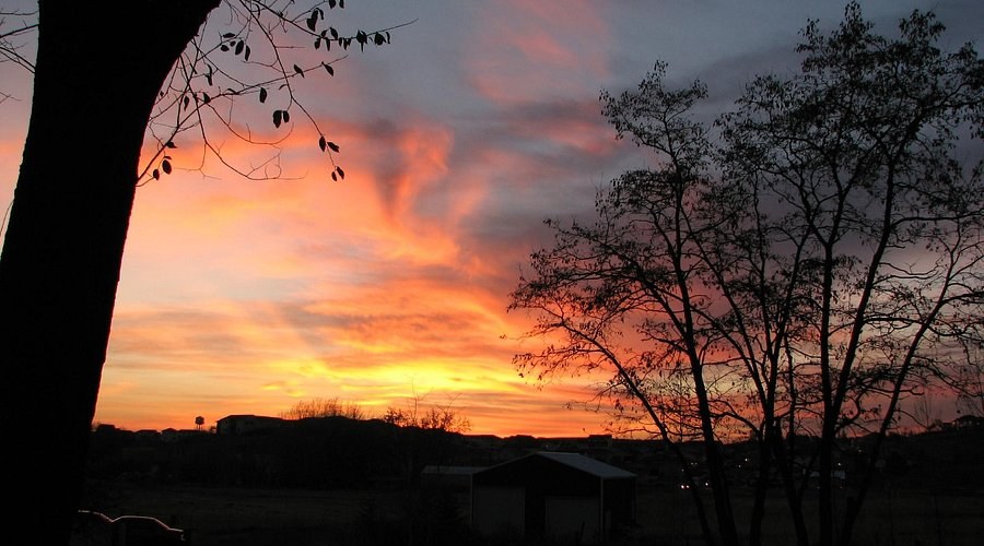 Palouse-Clearwater Environmental Institute