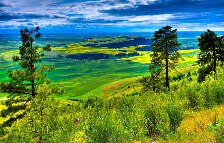 Kamiak Butte State Park - Geological Outlier Hike