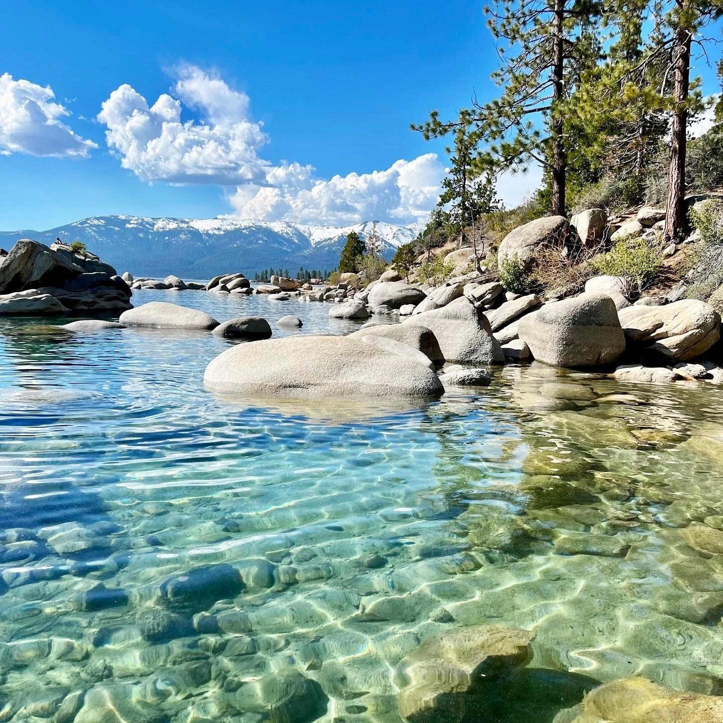 Tahoe Artisan Collective
