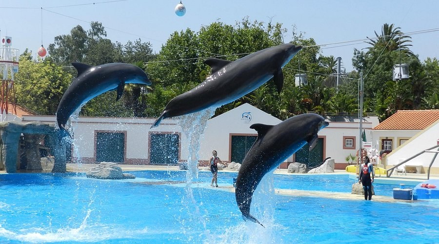 Lisbon Zoo