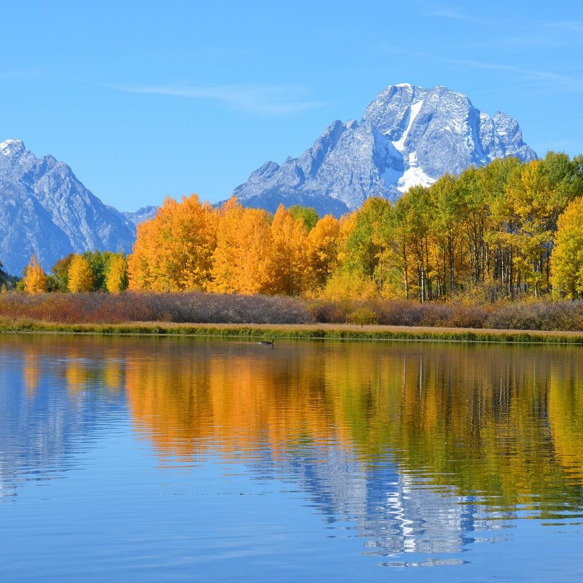 Oxbow Bend Scenic Turnout & Photography Experience