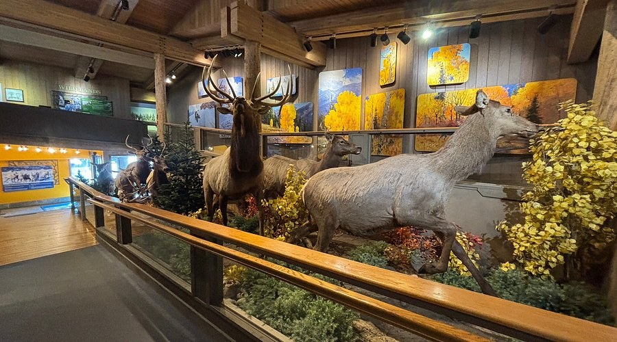 Jackson Hole & Greater Yellowstone Visitor Center