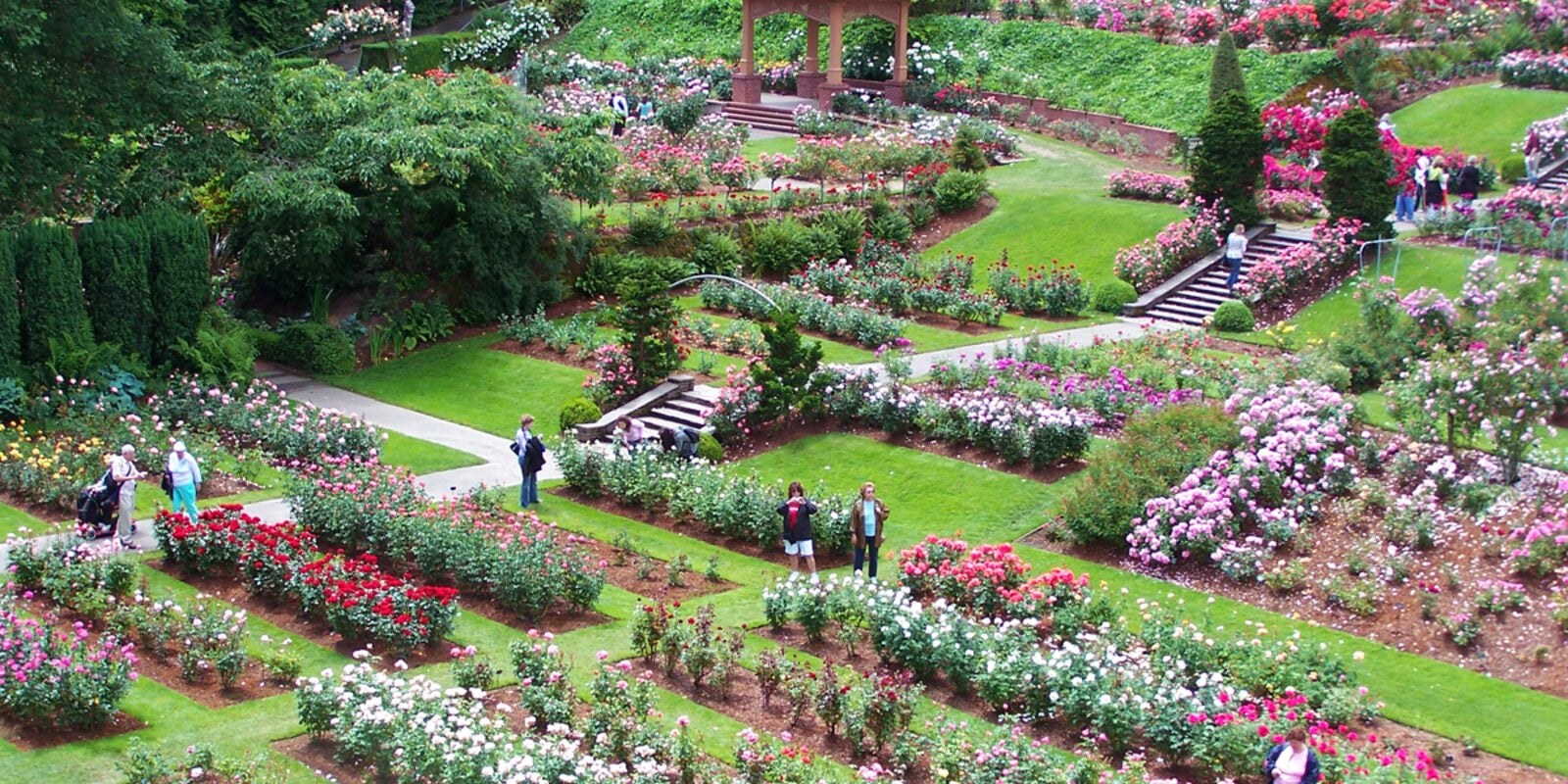 International Rose Test Garden