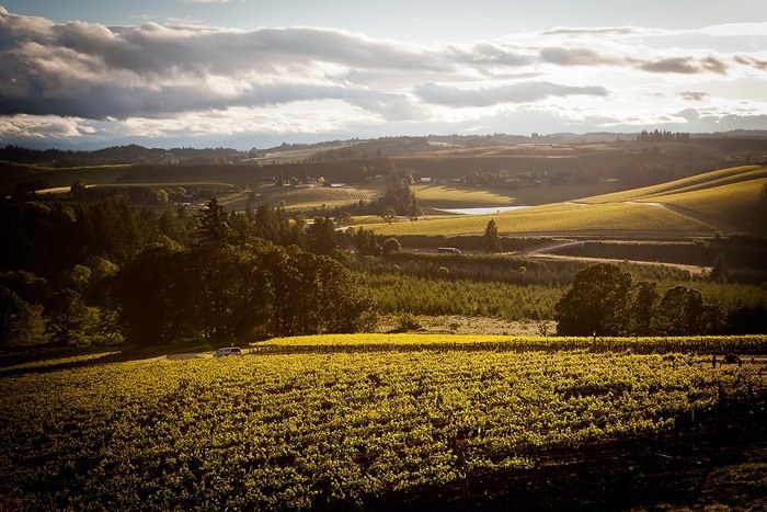 Willamette Valley Pinot Noir Region