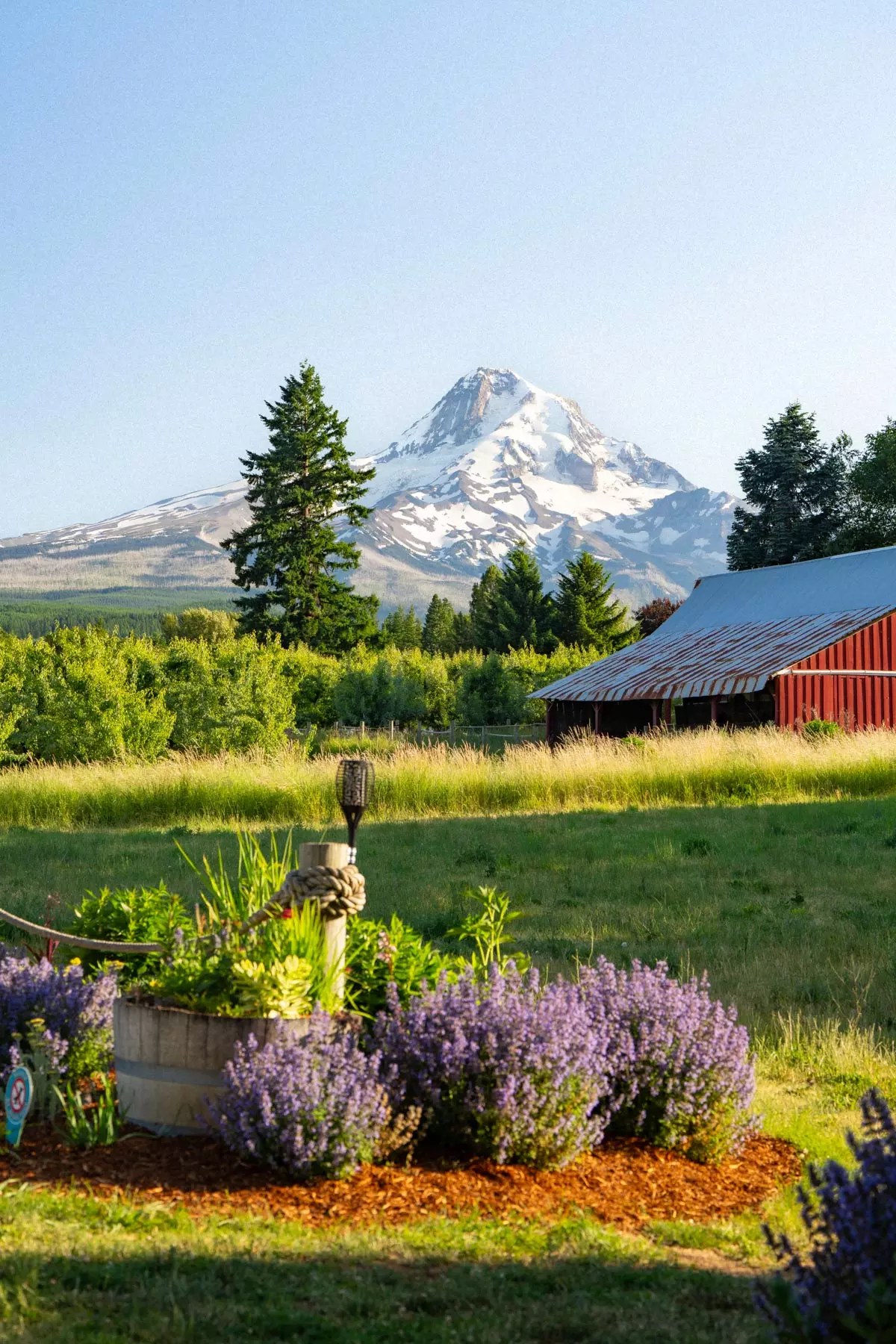Hood River Orchard & Farm-to-Table Dining Tour