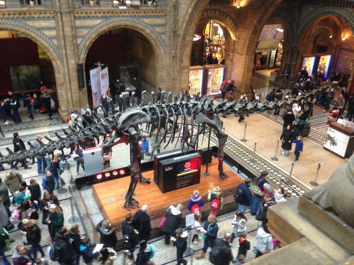 Museu Nacional de História Natural