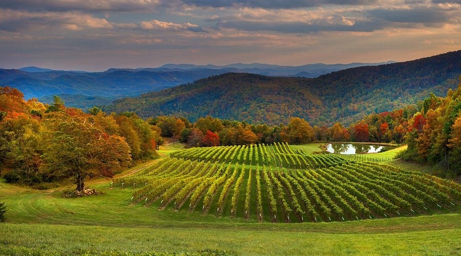 Winery Tours: Burntshirt Vineyards (Appalachian Wine Heritage)
