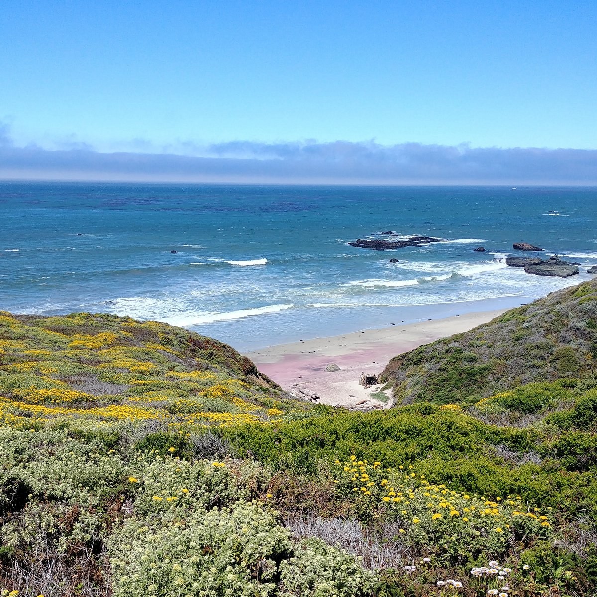 Andrew Molera State Park – Molera Beach Trail